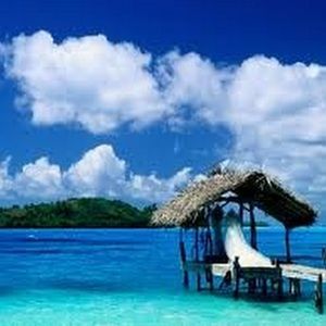 Meet your Posher, Minghui